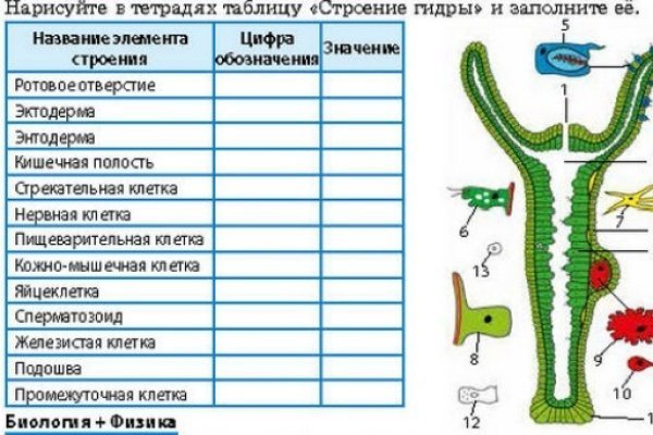 Ссылка на кракен тор kr2web in